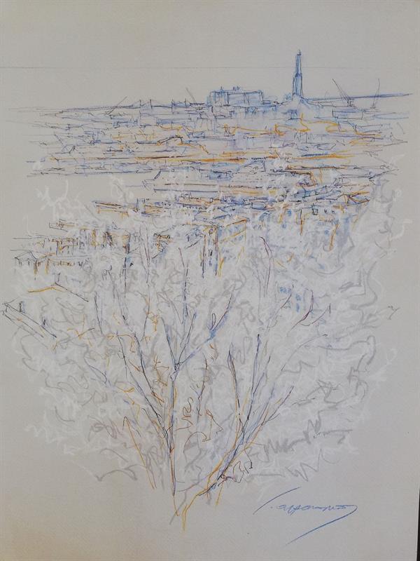 1000 trapianti di rene a Genova